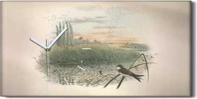 Produktbild von Wandkunst Leinwand Bild Uhr Geräuschlos 60x30 Vögel Wild Tiere Zeichnung Kunst - weiße Hände