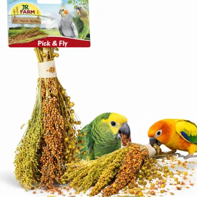 Zdjęcie produktu dla JR FARM Pick & Fly - bukiecik smakołyków w kłosach do chrupania dla wszystkich papug 130g