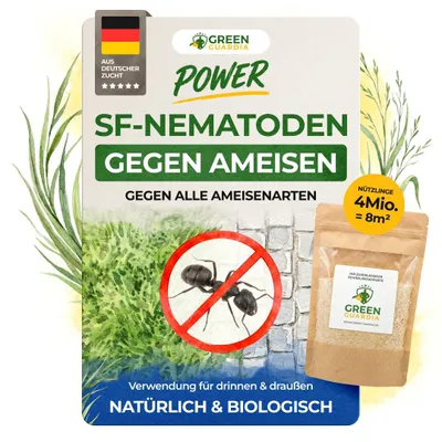Produktbild von SF Nematoden gegen Ameisen- 4 Mio. für 8m² Mittel gegen Ameisen im Haus & Garten, Effektive Ameisen Bekämpfung, die Biologische Ameisenfalle