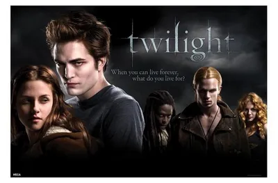Obrázok produktu pre TWILIGHT – Uk Quad – 61 x 91,5 cm – plagát