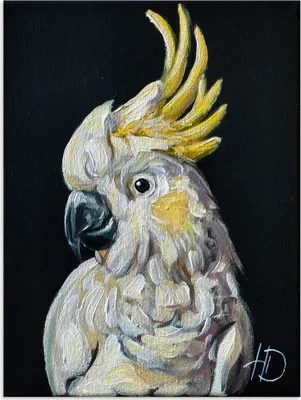 Produktbild von ARTland Wandbild Alu für Innen & Outdoor Flugjuwel Größe: 60x80 cm
