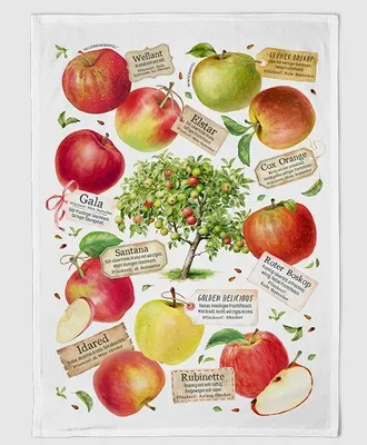 Produktbild von Geschirrtuch Apfelwissen, Geschirrtücher Mitbringsel Geschenkidee, Äpfel