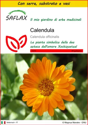 Immagine prodotto di SAFLAX Insieme di coltivazione - Calendula - 50 semi - Calendula