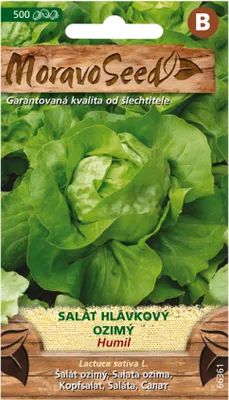 Zdjęcie produktu dla Sałata zimowa Nohel Garden HUMIL 66361
