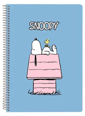 Immagine prodotto di Taccuino Snoopy A5 80 fogli