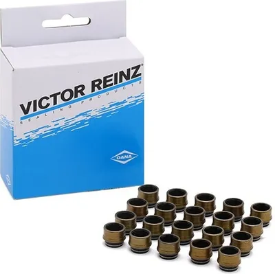 Produktbild von REINZ Ventilschaftdichtung-Satz 12-31306-03 für VW Golf IV Schrägheck (1J1)