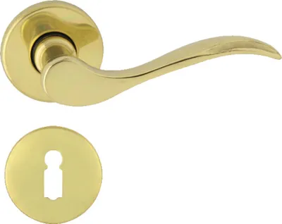 A brass door handle and escutcheon plate are shown against a white background.