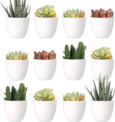 Produktbild von 24 Stück 5 cm Mini-Plastik-Blumenvasen für Innenraum weiße Gartenpflanze mit Drainage (modern)