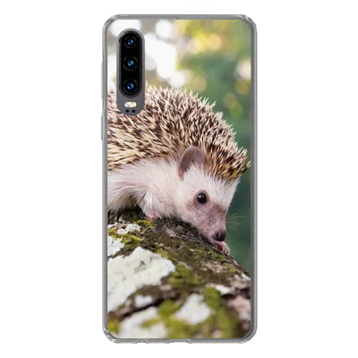 Produktbild von MuchoWow® Handyhülle Schutzhülle Hülle für Huawei P30 Baby - Igel - Baum Silikon Softcase Handy Hülle - Kartenbesitzer