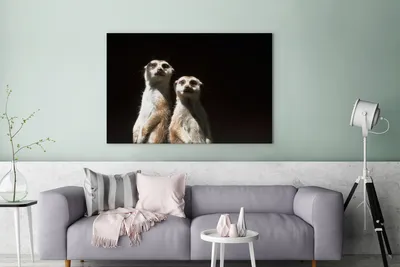 Obrázek produktu pro OneMillionCanvasses® - Obrazy na plátně - 140x90 cm, černá - Surikata - Zvířata, Nástěnné umění tisk Nástěnná dekorace - Fotografie na plátně - Obraz na dřevěném rámu