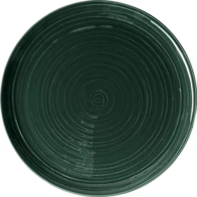 Produktbild von Terra Speiseteller rund 31 cm Moosgrün uni