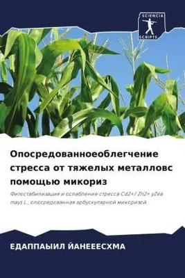 Produktbild von Oposredowannoeoblegchenie stressa ot tqzhelyh metallows pomosch'ü mikoriz