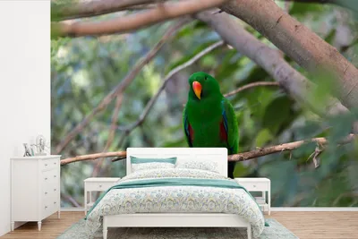 Produktbild von MuchoWow® Fototapete für Wohnzimmer oder Schlafzimmer Wandtapete Vinyl Motivtapete Grüner Edelpapagei im Wald - 390x260 cm - Papiertapete