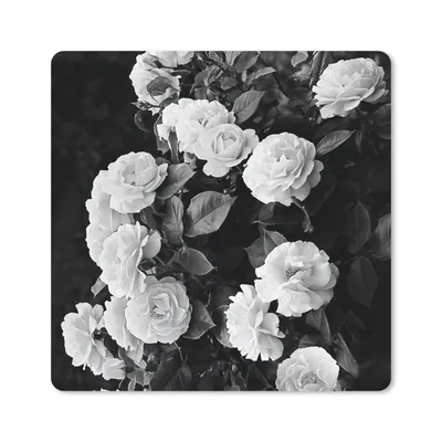 Produktbild von MuchoWow® Mauspad Mousepad Blumen - Schwarz und Weiß - Natur - Pflanzen - Rosen 30x30 cm - Mousepads - Maus Mat - Pad - Mausunterlage - Gaming
