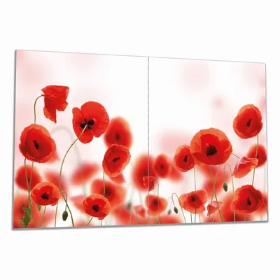 Produktbild von Wallario Herdabdeckplatte aus Glas, Größe 80 x 52 cm 2-teilig, Motiv Leuchtende Mohnblumen - Rote Mohnblumenblüten