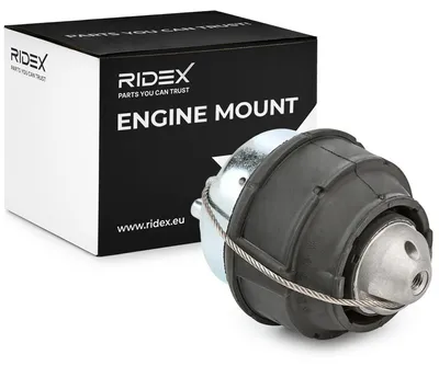 Produktbild von RIDEX Motorlager Hydrolager Vorne für SEAT Ibiza IV Schrägheck (6J5, 6P1) 247E0103