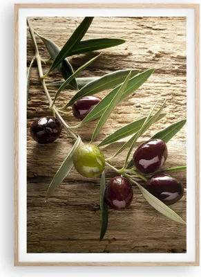 Produktbild von Gerahmtes Poster - Rahmen in heller Eiche - Oliv italien aroma diät - 70x100 cm - Wand Bild - Wanddeko - Wandbilder - Wandposter - Bilderrahmen - Bilder - Kunstdruck - Wandbild - P2NPA70x100-2420