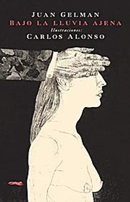 Obrázok produktu pre Pod dažďom, ktorý nie je náš – peňaženka
