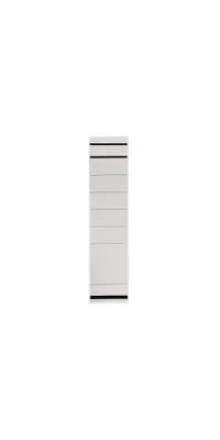 Produktbild von Ordnerrckenetikett breit/lang 61,5 x 285 mm (B x H) selbstklebend mit Griffloch wei 10 Etik./Pack.