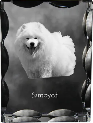 Obrázek produktu pro Samojed - krystal s fotografií psa, skleněná soška s fotografií, jedinečný rám s fotografií značky Art-Dog