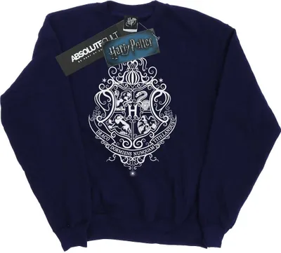 Zdjęcie produktu dla Harry Potter – Bluza męska „Hogwarts Draco Dormiens” BI27580 (XXL) (granatowa)