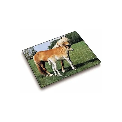 Produktbild von Läufer Schreibunterlage Pferd und Fohlen 400 x 530 mm