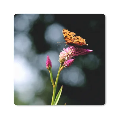 Produktbild von MuchoWow® Mauspad Mousepad Schmetterling - Blumen - Insekten 20x20 cm - Mousepads - Maus Mat - Pad - Mausunterlage - Desk Mat - Bureauartikeln