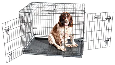 Hundebox, faltbar, 90x60x67 cm, 2 Türen, herausnehmbare Wanne