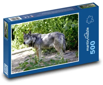 Obrázek produktu pro Puzzle 500 Vlk v divoké přírodě - martinpuzzle