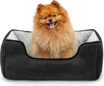 Image de lionto 2-in-1 Hundekissen aus Wildlederimitat, 60x50 cm, schwarz/grau /2