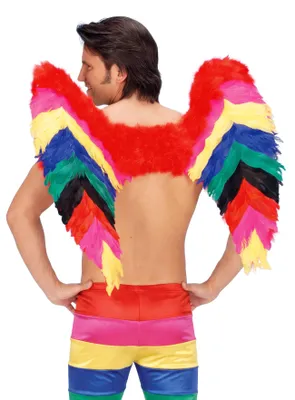 Produktbild von Rainbow Federflügel Kostümflügel Fasching Karneval
