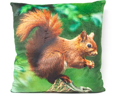 Immagine prodotto di Cuscino in tessuto - Scoiattolo - 35x35