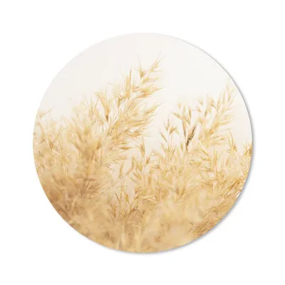 Produktbild von MuchoWow® Mauspad Mousepad Pampasgras - Sonne - Gras 20x20 cm - Mousepads - Maus Mat - Pad - Mausunterlage - Schreibtischmatte