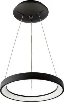 Immagine prodotto di Light Impressions Deko-Light apparecchio a sospensione Merope 400 mm, 30,0 W, 3000/4000 K, nero 220-240V AC/50-60Hz 30,00 W 3000/4000 K 2200 lm nero scuro RAL 9005 342190