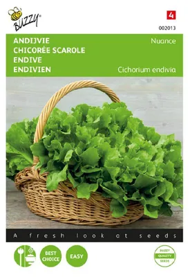 Produktbild von Sommerendivien Nuance | Endiviensalatsamen von Buzzy Seeds