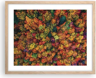 Produktbild von Gerahmtes Poster - Rahmen in heller Eiche - Herbst Perspektive Vogel - 50x40 cm - Wand Bild - Wanddeko - Wandbilder - Kunstposter - Wandposter - Bilderrahmen - Bilder - Kunstdruck - P2NAA50x40-4478