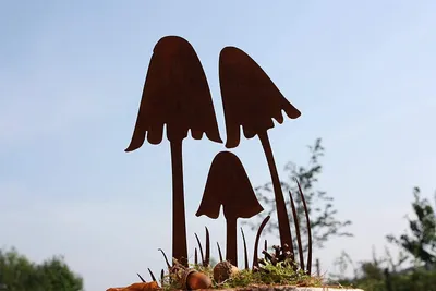 Image de Rostikal Champignons rouillés 25 cm - Plante de jardin d'automne