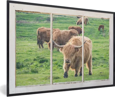 Produktbild von MuchoWow® MuchoWow® Gerahmtes Poster Durchblick - Schottisches Hochlandrind - Tiere 30x20 cm - Poster mit zchwarzem Bilderrahmen - Kunstdruck - Bild-Poster