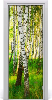 Produktbild von Tulup Türaufkleber 75x205 cm Dekorative Aufkleber Selbstklebend Wasserdichte Tapete Abnehmbar Schlafzimmer Wohnzimmer Wohnkultur - Birkenwald