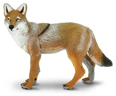 Produktbild von Safari Ltd Coyote Abbildung 2 Braun,Weiß From 3 Years Kinder Braun,Weiß From 3 Years