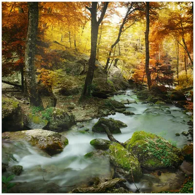 Produktbild von Wallario Sticker / Aufkleber für Kühlschrank / Geschirrspüler / Küchenschränke, selbstklebende Folie - 60 x 60 cm, Motiv: Wasserfall mit moosbedeckten Steinen im Herbstwald