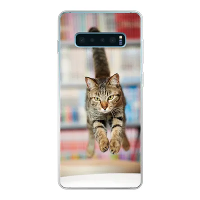 Produktbild von MuchoWow® Handyhülle Schutzhülle Hülle für Samsung Galaxy S10 Plus Katze - Frühling - Stuhl Silikon Softcase Handy Hülle - Schutzhülle
