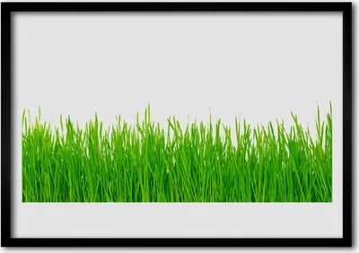 Produktbild von Bild 100x70 MDF-Rahmen Wandkunst Gras Natur Pflanze