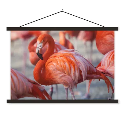 Produktbild von MuchoWow® Textilposter Flamingo - Vogel - Tiere - Rosa 150x100 cm mit schwarzem Rahmen - Schlafzimmer