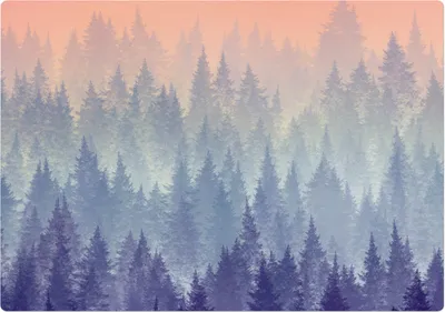 Produktbild von Nebeliges Waldpanorama – Bodenschutzmatte – Rutschfest – Schutzmatte für Büro – Vinylmatte – Stuhlunterlage  – 100 x 100 cm