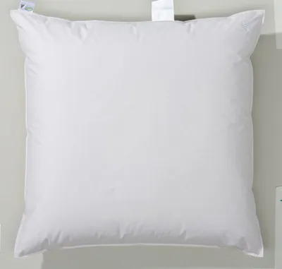 Produktbild von Centa-Star Kopfkissen GOLF VON ALASKA Grösse 80 X 80 cm Farbe SAHARA