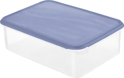 Obrázek produktu pro Rotho 1714006161WS, Kontejner, Čtverec, 5 l, Modrá, Průhledná, Plast, -20 °C