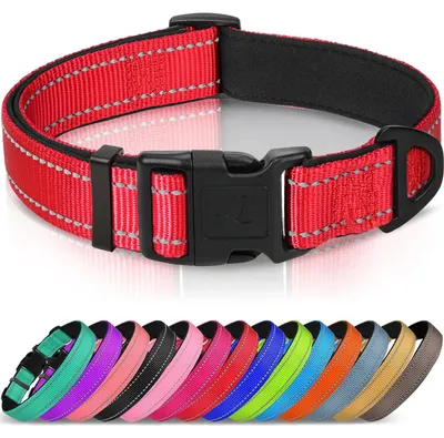 Productafbeelding van Hondenhalsband voor Welpen en Kleine Honden, Reflecterend, Rood