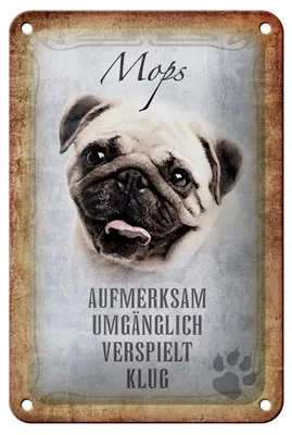 Produktbild von Blechschild Spruch 12x18cm Mops Hund Schild