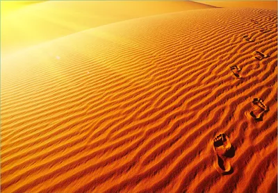 Produktbild von Wallario Fototapete Vliestapete, seidenmatte Oberfläche, einfache Verarbeitung, Größe 200 x 140 cm, Motiv Fußspuren im Sand - Sanddüne in der Wüste